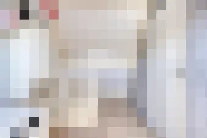 Kruipwilg 32 Heemskerk thumbnail 17