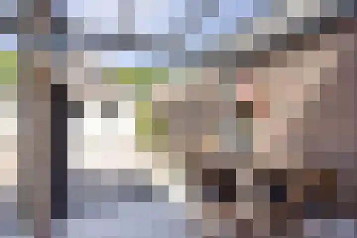 Kruipwilg 32 Heemskerk thumbnail 20