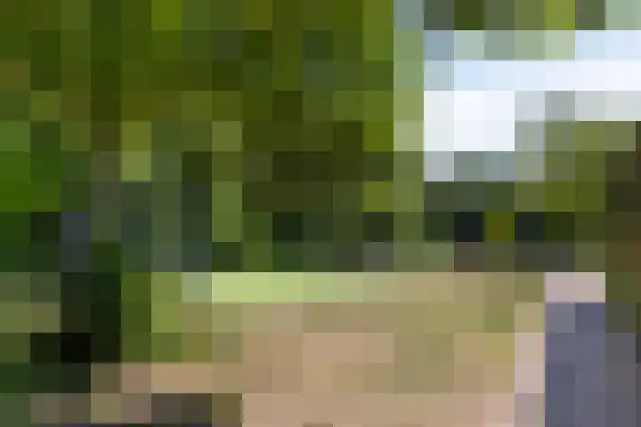 Kruipwilg 32 Heemskerk thumbnail 26