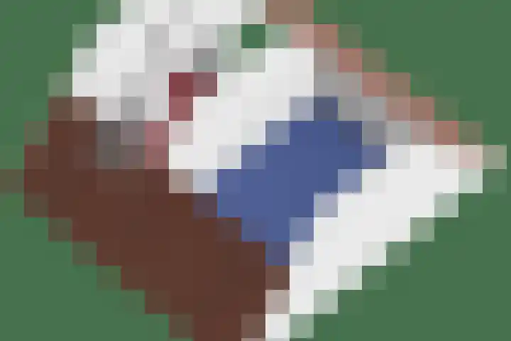 Kruipwilg 32 Heemskerk thumbnail 33