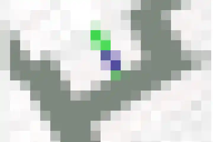 Kruipwilg 32 Heemskerk thumbnail 34