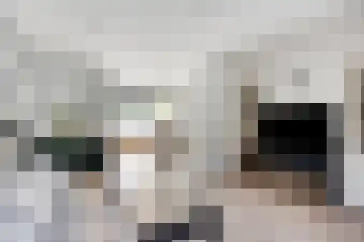 Kruipwilg 32 Heemskerk thumbnail 9
