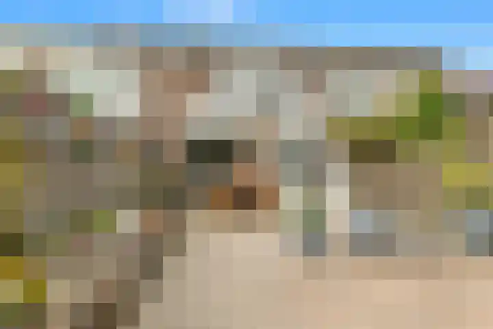Kruipwilg 57 Heemskerk thumbnail 32