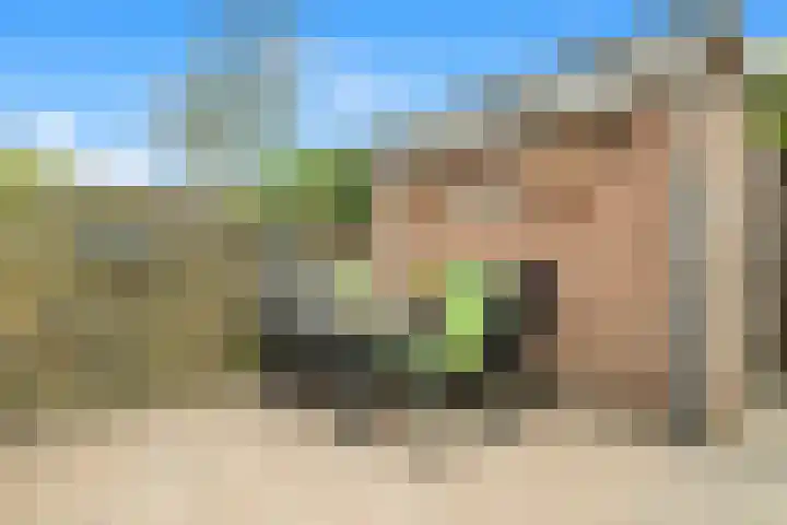 Kruipwilg 57 Heemskerk thumbnail 37