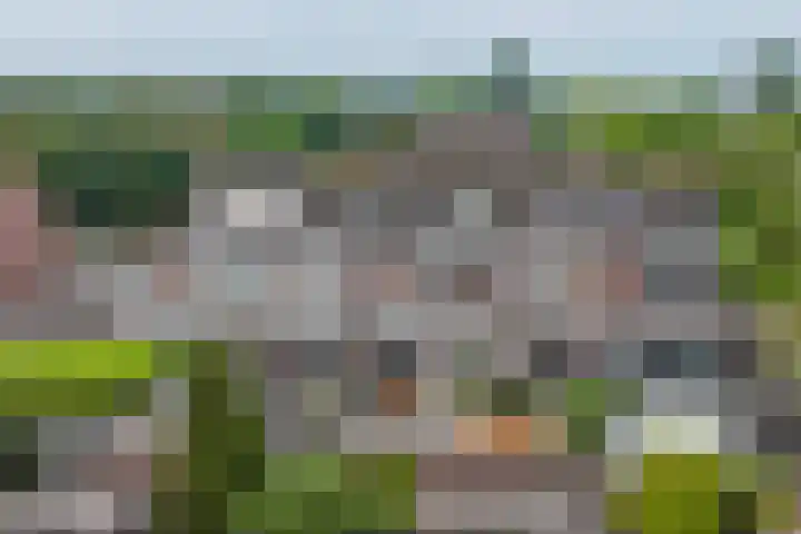 Kruipwilg 57 Heemskerk thumbnail 43