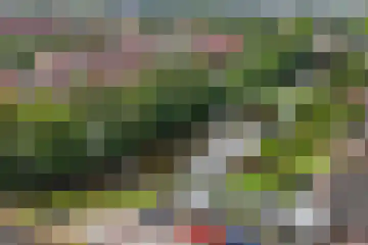 Kruipwilg 57 Heemskerk thumbnail 45
