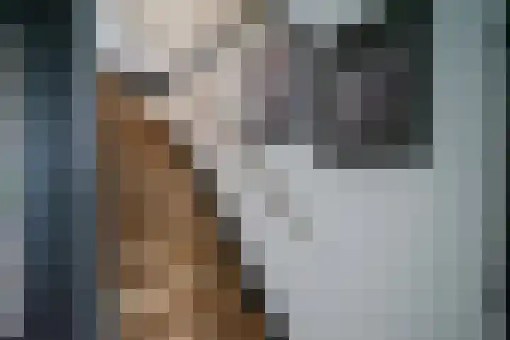 Kruipwilg 65 Heemskerk thumbnail 13