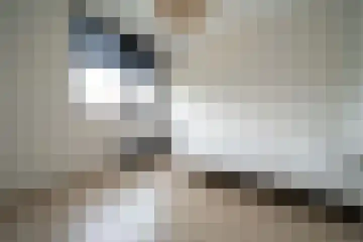 Kruipwilg 65 Heemskerk thumbnail 15