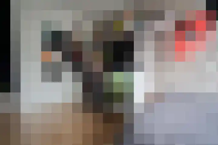 Kruipwilg 65 Heemskerk thumbnail 18