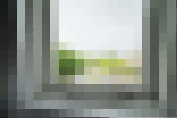 Kruipwilg 65 Heemskerk thumbnail 25