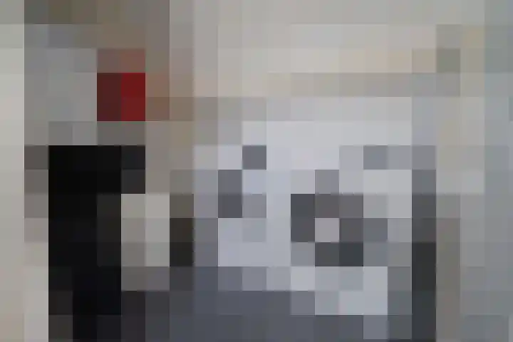 Kruipwilg 65 Heemskerk thumbnail 31