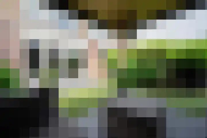Kruipwilg 65 Heemskerk thumbnail 32