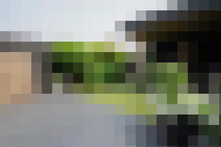 Kruipwilg 65 Heemskerk thumbnail 34