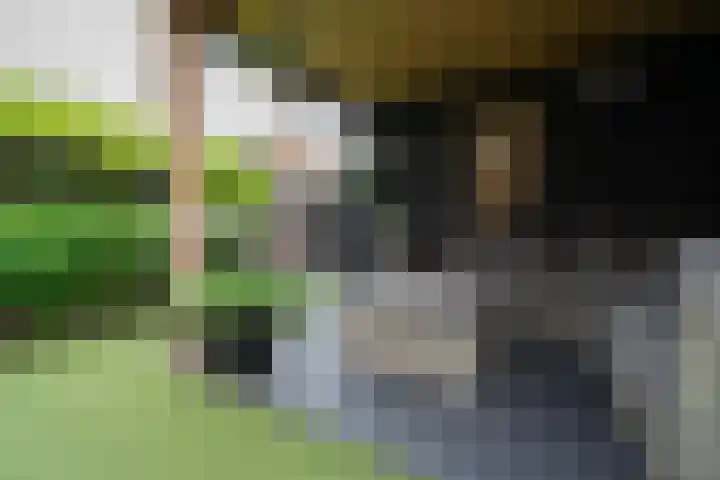 Kruipwilg 65 Heemskerk thumbnail 36