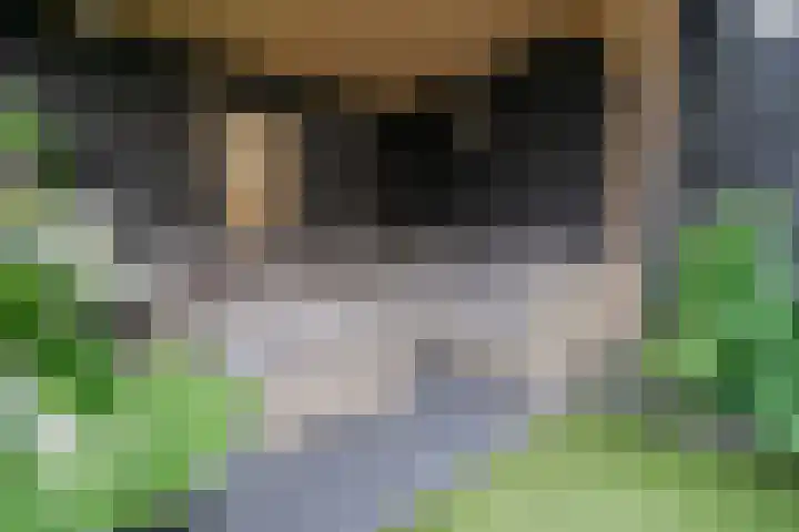 Kruipwilg 65 Heemskerk thumbnail 37