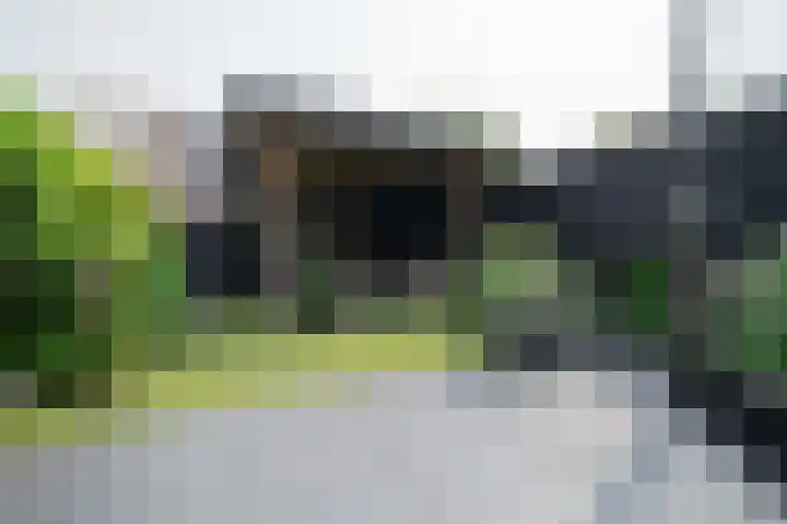Kruipwilg 65 Heemskerk thumbnail 38