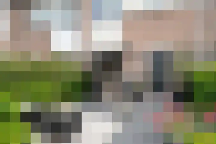Kruipwilg 65 Heemskerk thumbnail 39