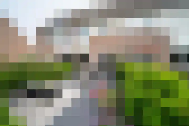 Kruipwilg 65 Heemskerk thumbnail 45