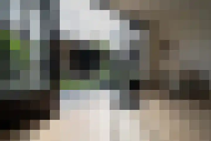 Kruipwilg 65 Heemskerk thumbnail 5