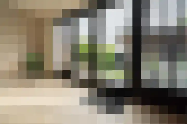 Kruipwilg 65 Heemskerk thumbnail 6