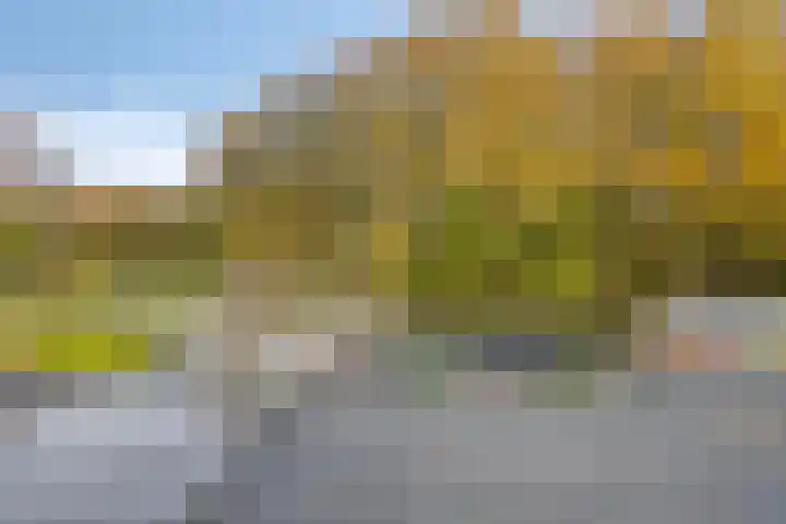 Kruirad 23 Blijham thumbnail 27