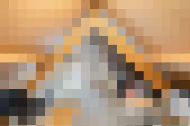 Kruirad 23 Blijham thumbnail 28