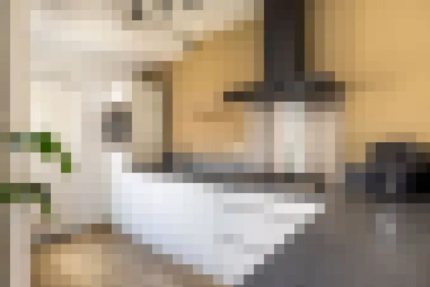Kruirad 3 Sneek thumbnail 24