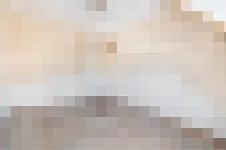 Kruirad 35 Blijham thumbnail 17