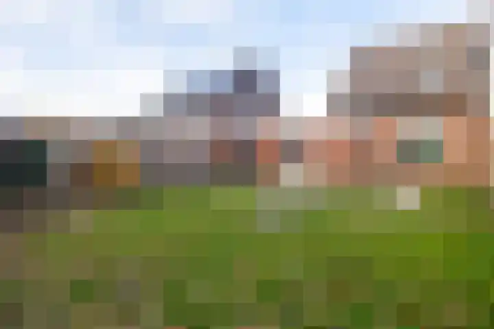 Kruirad 35 Blijham thumbnail 25