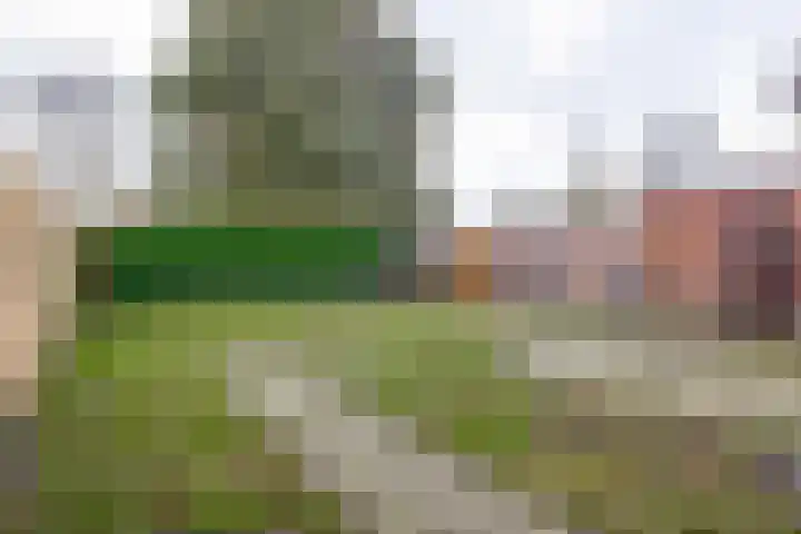 Kruirad 35 Blijham thumbnail 27