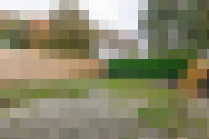 Kruirad 35 Blijham thumbnail 28
