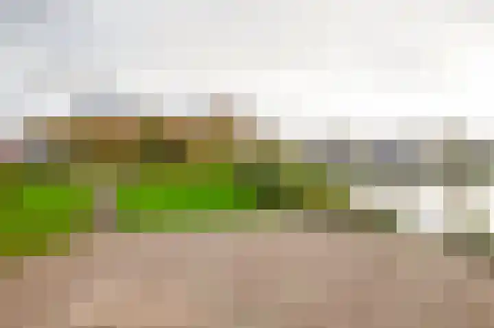 Kruirad 35 Blijham thumbnail 30