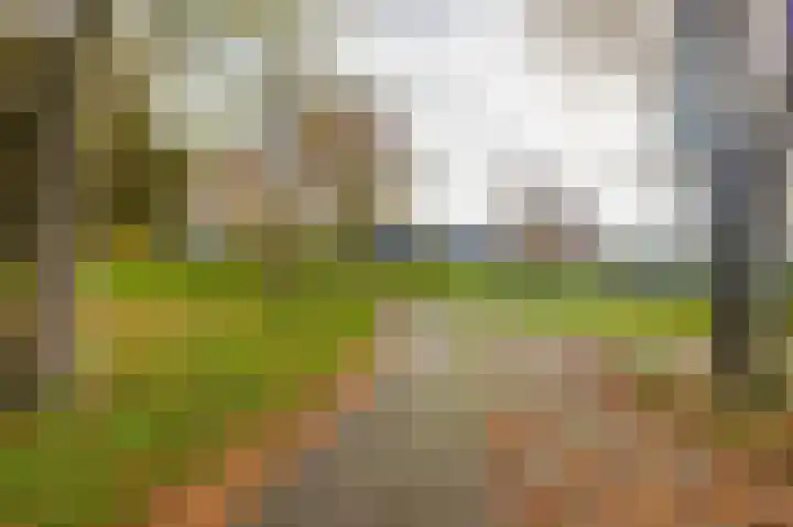 Kruirad 35 Blijham thumbnail 31