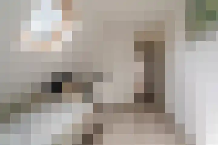Kruirad 4 Blijham thumbnail 21