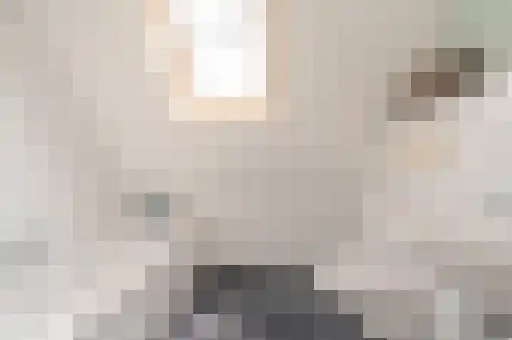 Kruirad 4 Blijham thumbnail 22