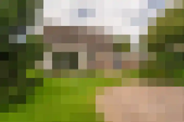 Kruirad 4 Blijham thumbnail 5
