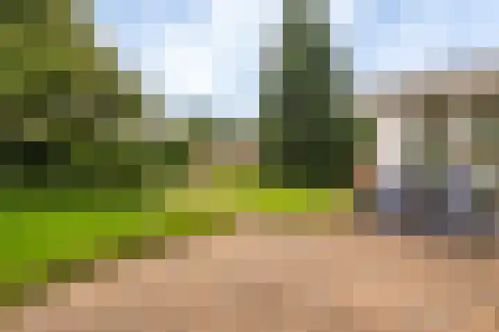 Kruirad 4 Blijham thumbnail 6