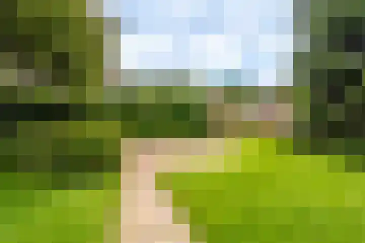 Kruirad 4 Blijham thumbnail 7