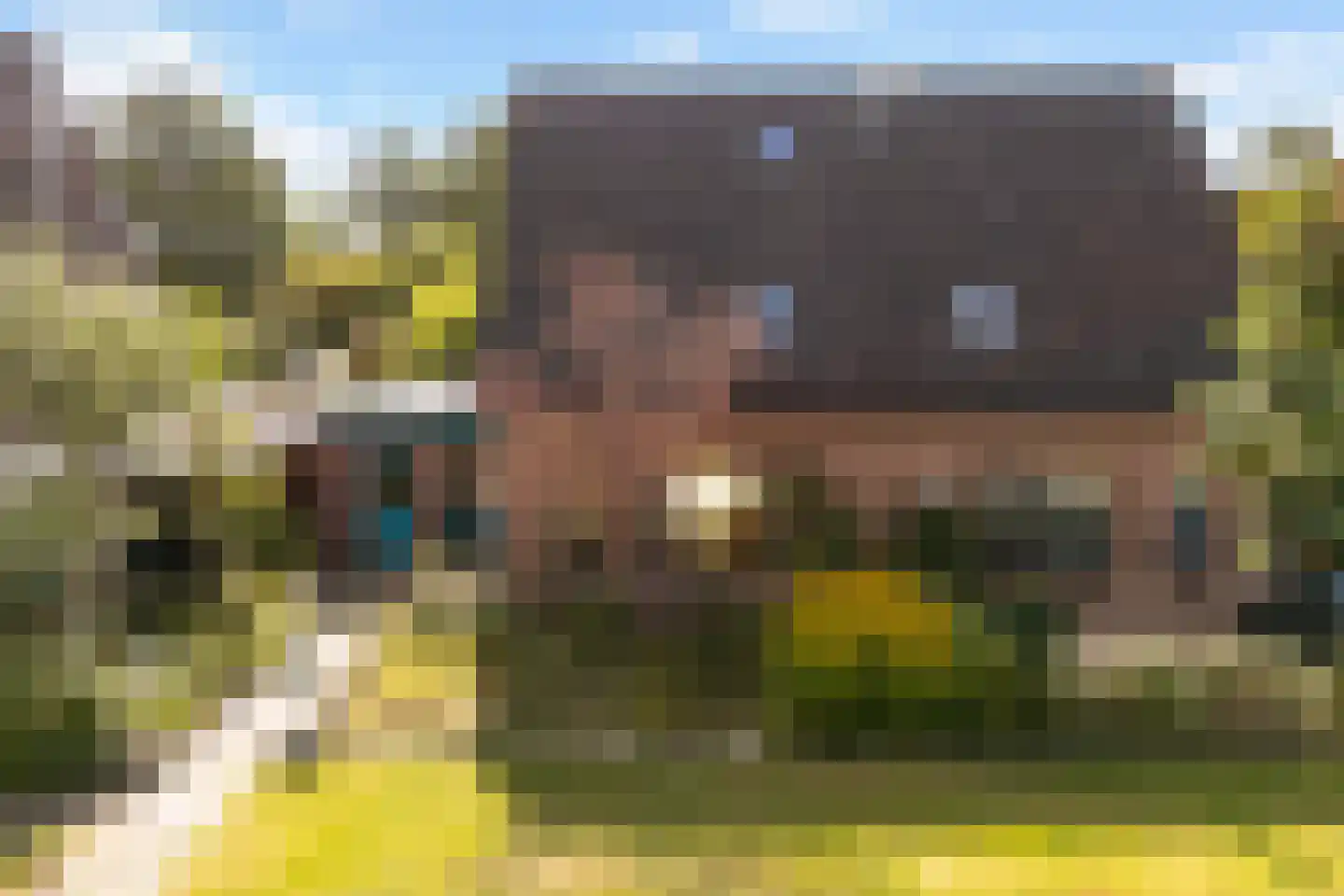 Kruirad 45 in Buitenpost