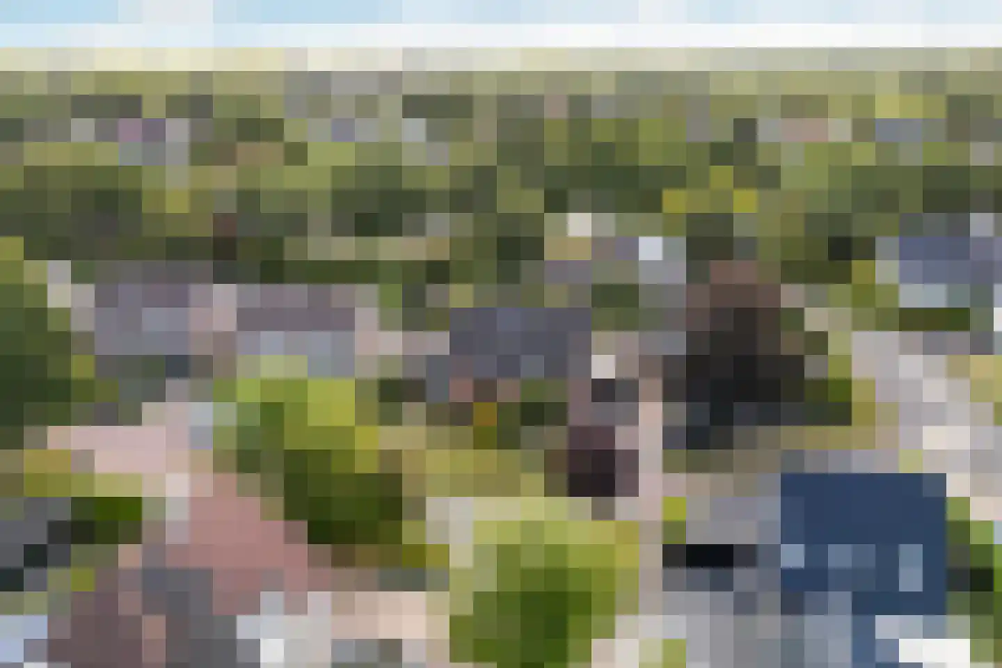 Kruirad 45 Buitenpost thumbnail 10
