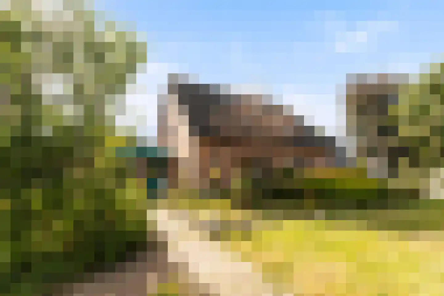 Kruirad 45 Buitenpost thumbnail 15