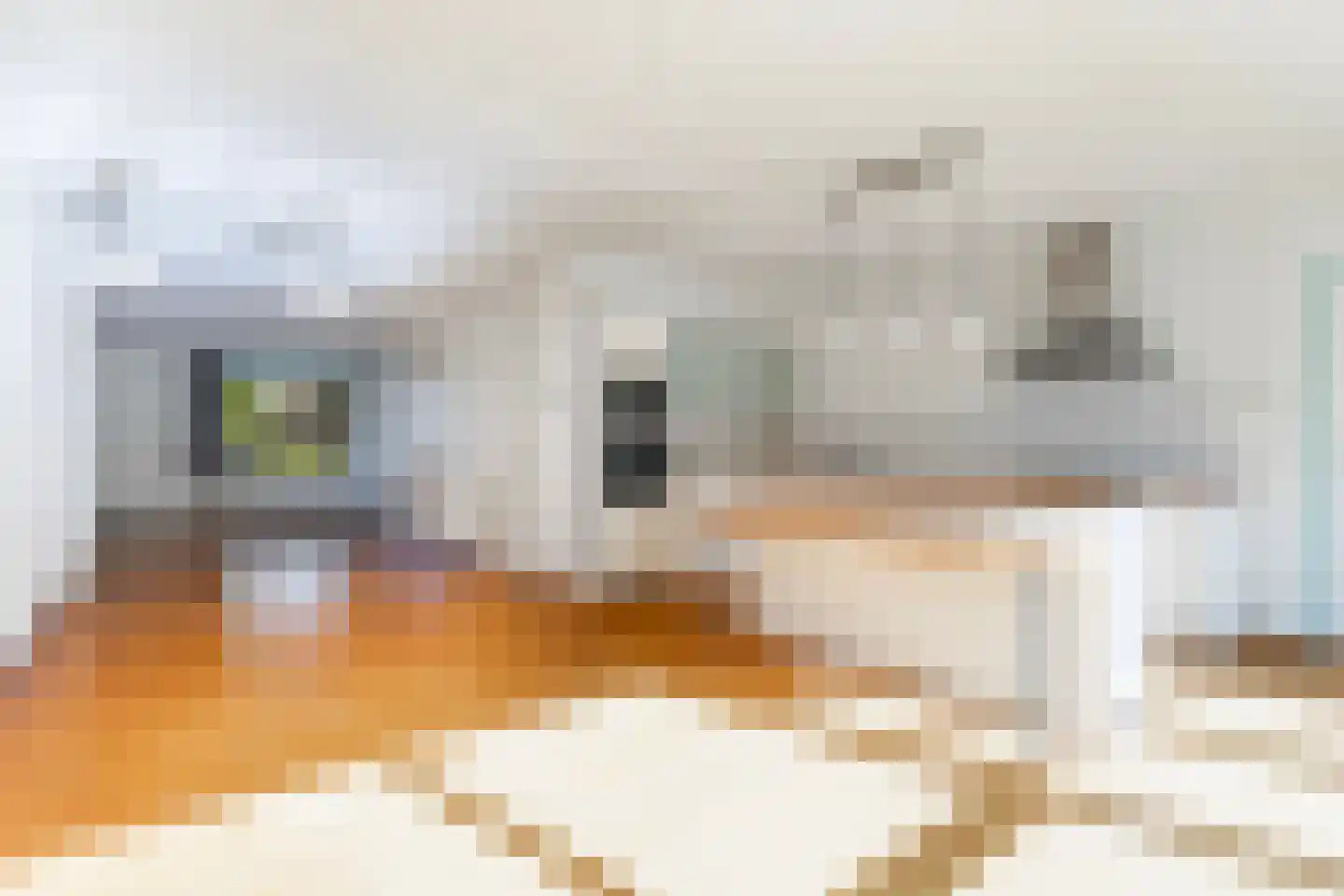 Kruirad 45 Buitenpost thumbnail 27
