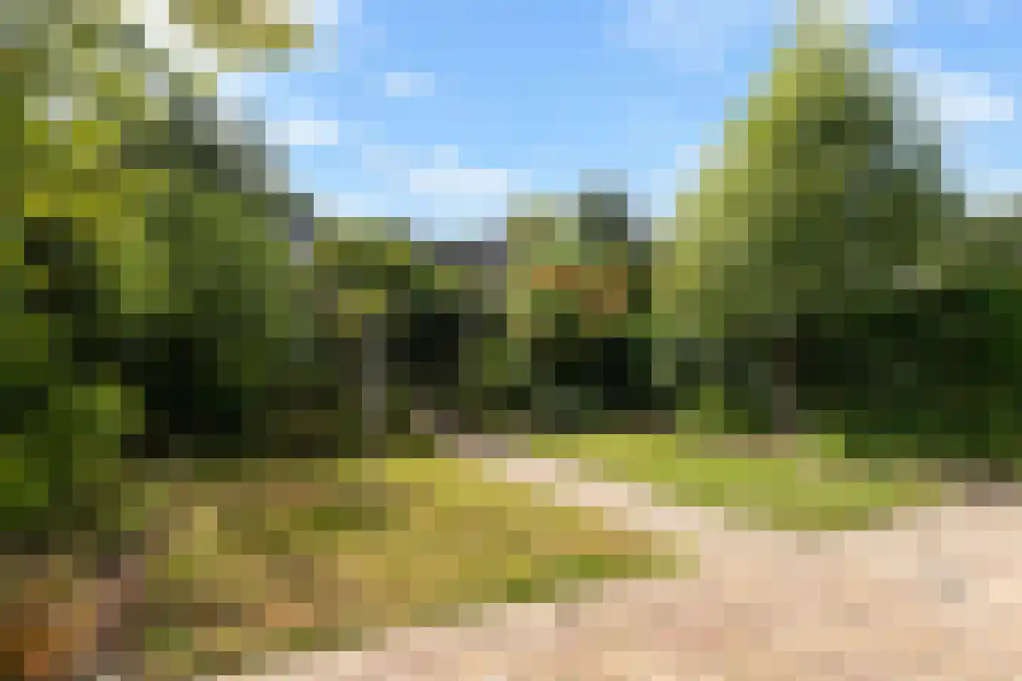 Kruirad 45 Buitenpost foto 3