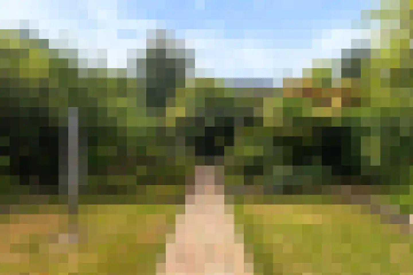 Kruirad 45 Buitenpost thumbnail 38