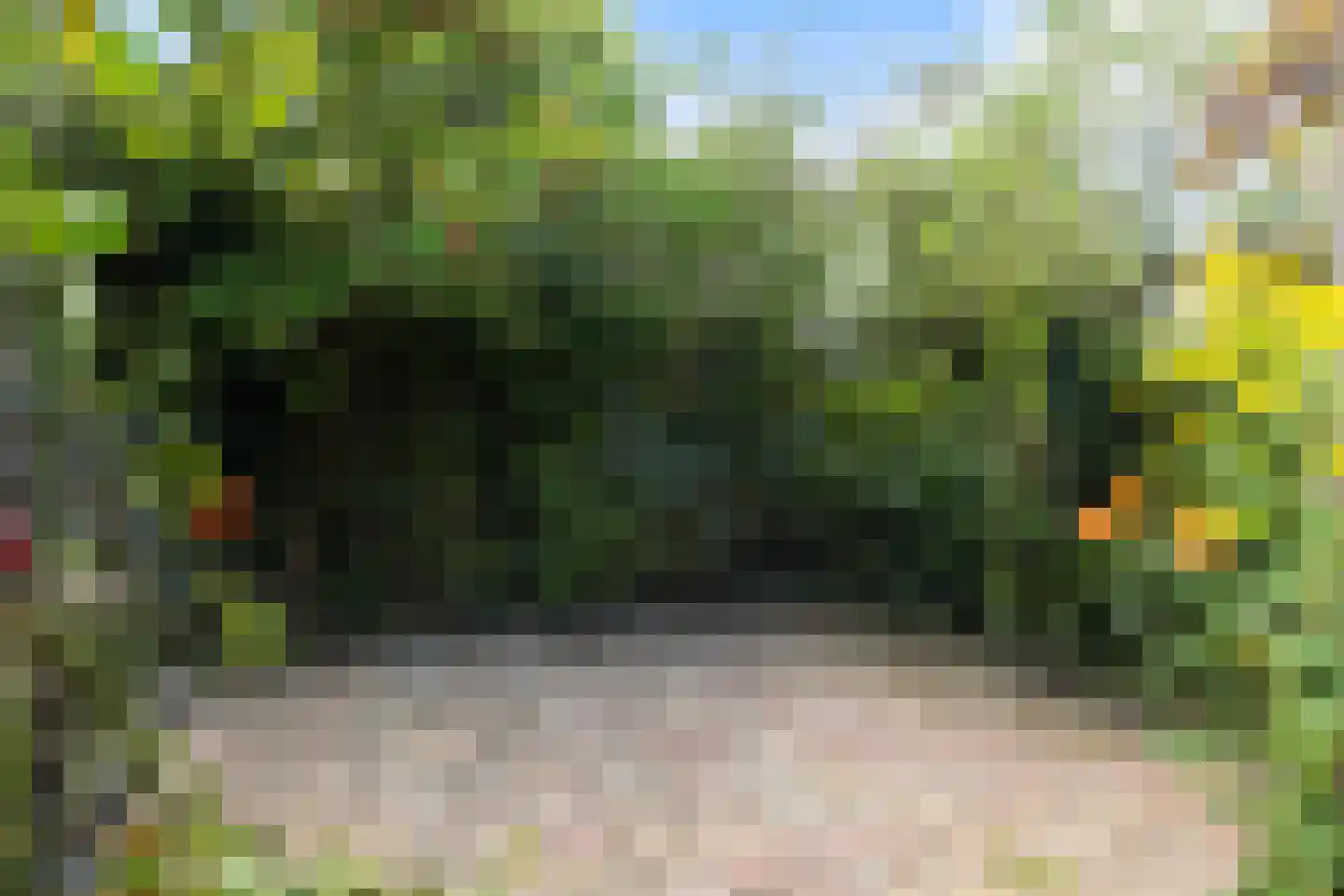 Kruirad 45 Buitenpost thumbnail 40