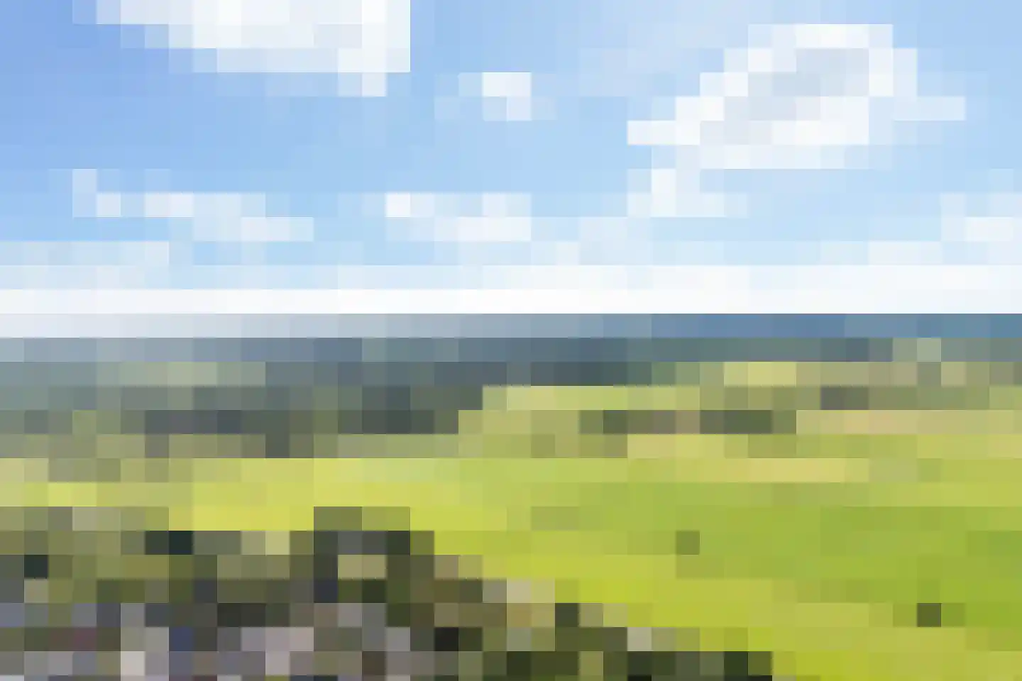 Kruirad 45 Buitenpost thumbnail 5
