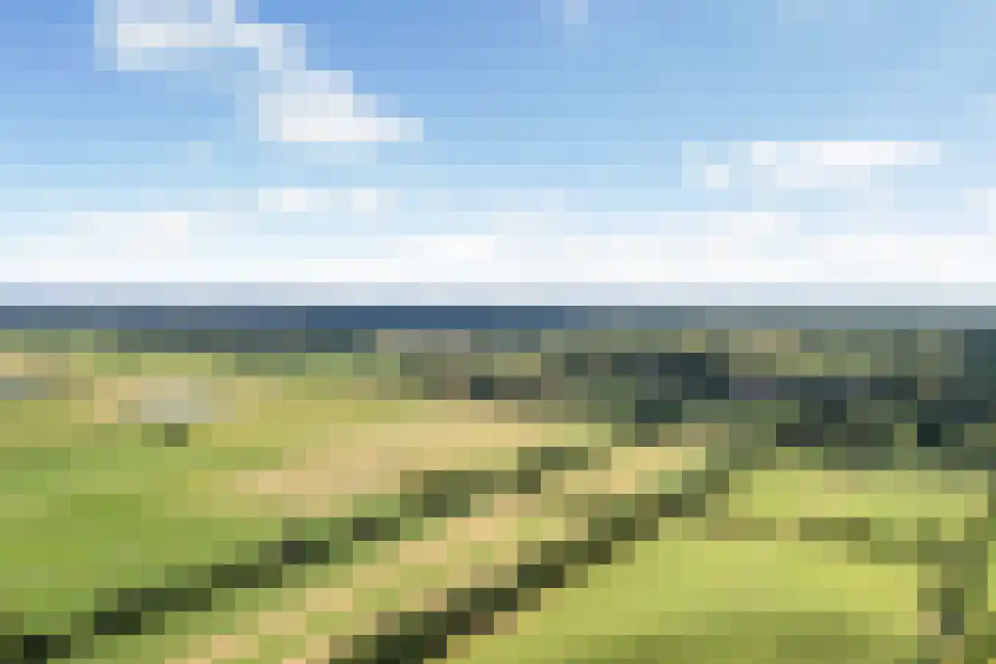 Kruirad 45 Buitenpost thumbnail 6