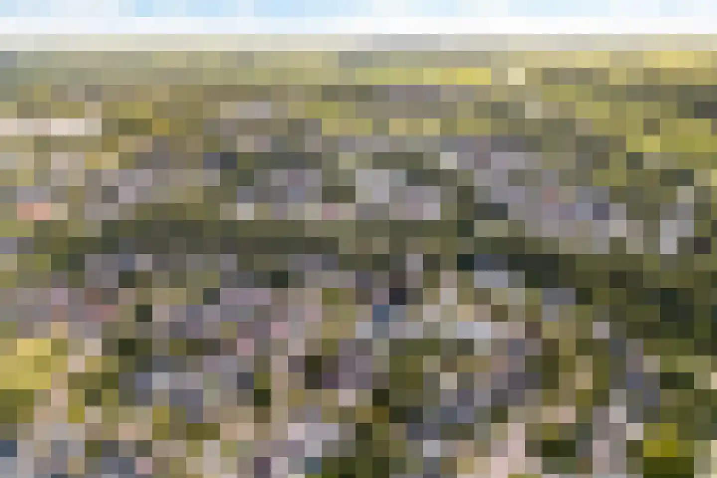 Kruirad 45 Buitenpost thumbnail 8