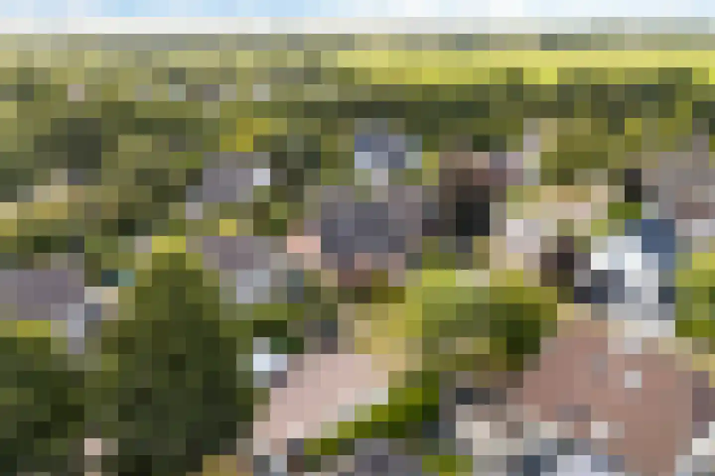 Kruirad 45 Buitenpost thumbnail 9