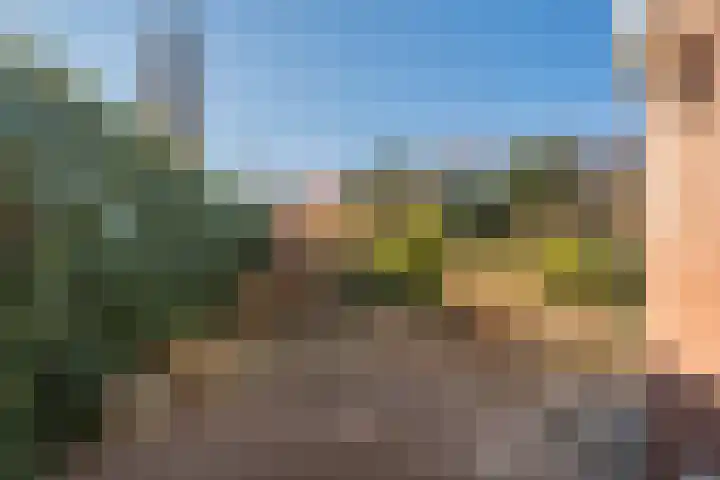 Kruirad 47 Blijham thumbnail 47